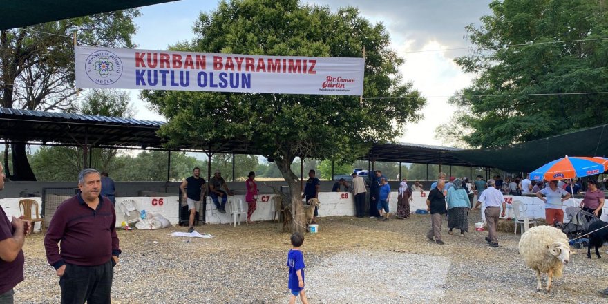 Büyükşehir mezbahaları bayramda tam kapasite çalıştı