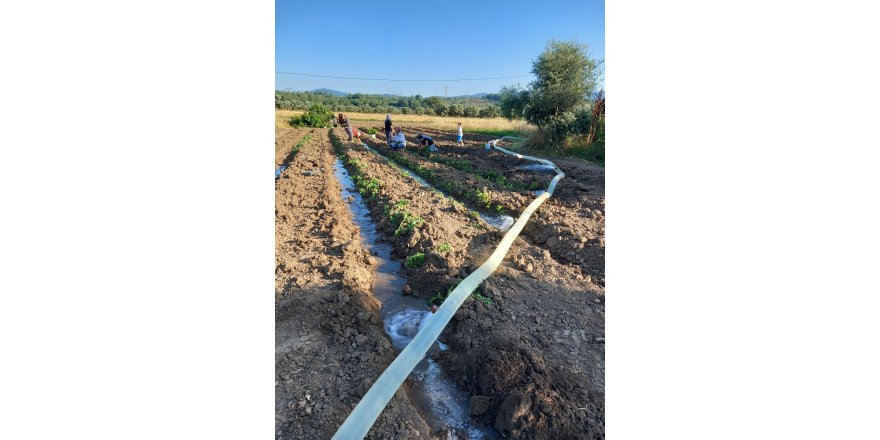 YK Enerji, Milas'ta bin dönümlük tarım arazisinin sulama sorununu çözdü