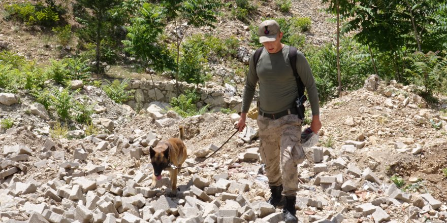 Doğa yürüyüşünde kayboldu, 2 gündür aranıyor