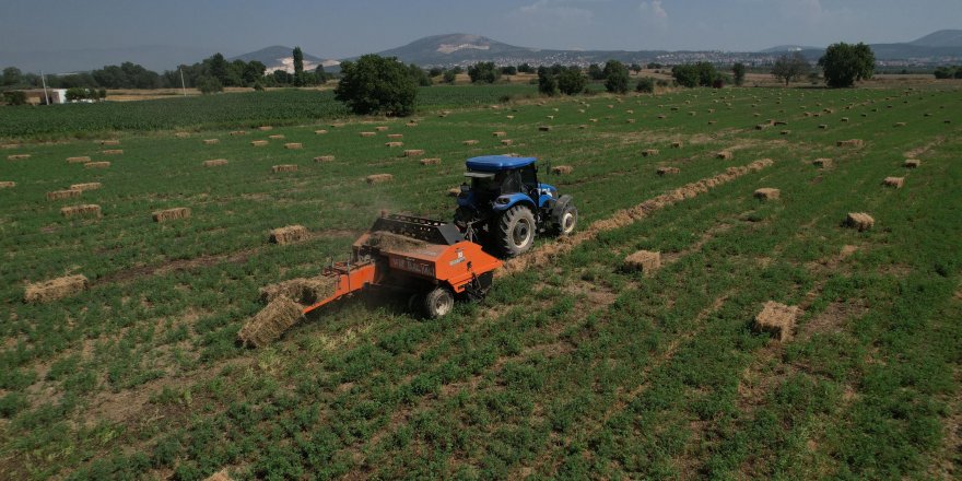 Muğla'da 434 dekar araziden elde edilen kaba yemler üreticiye dağıtılacak