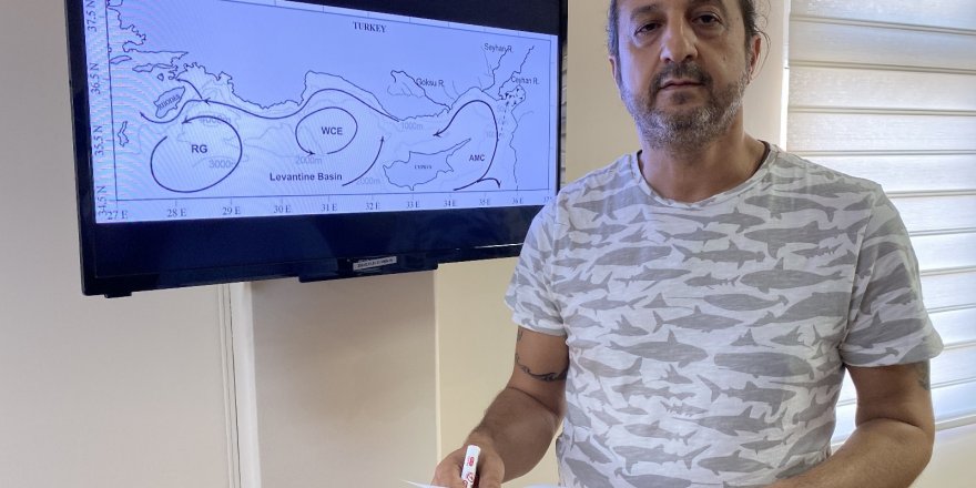 Prof. Dr. Turan: "Petrol sızıntısı İskenderun Körfezini de tehdit edebilir"
