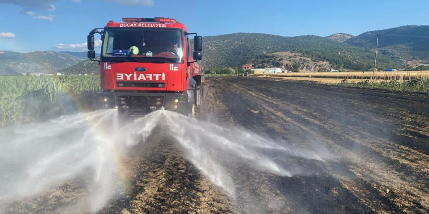 Bucak'ta 60 dekar hububat tarlası yandı