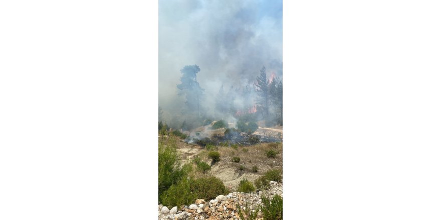 Kaş'ta orman yangını