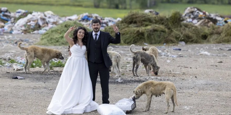 Felçli köpeğe yürüteç yaparken tanışıp evlenen çift, nikah öncesi sokak hayvanlarını besledi