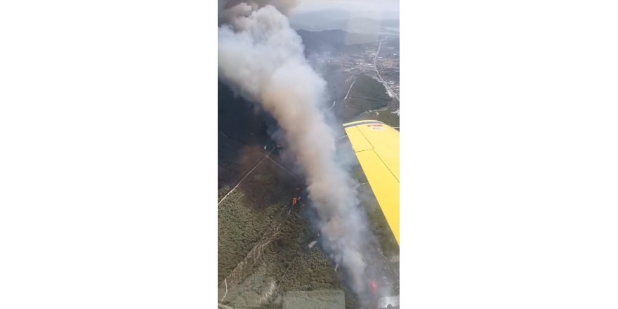 Milas'ta makilik yangını, ormana sıçradı (2)