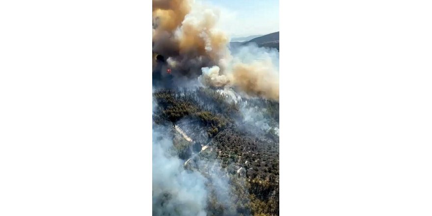 Milas'ta makilik yangını, ormana sıçradı (4)