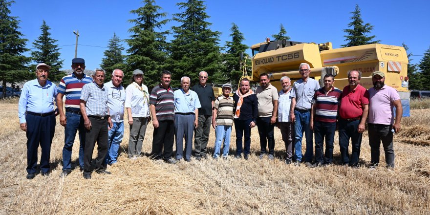 Başkan Böcek, biçerdöverle buğday hasadı yaptı