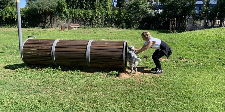 Yenilenen köpek parkı ile candostların keyfi yerinde