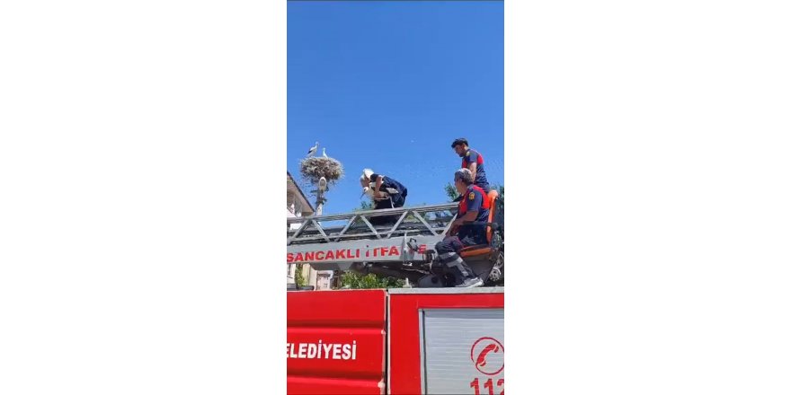 Leylek yuvasına itfaiye aracıyla bırakıldı