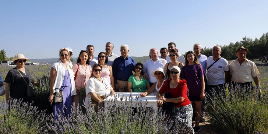 Muğla'da lavanta kokan şenlik