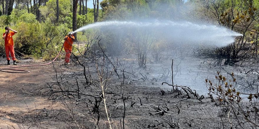 Antalya'da orman yangını, yarım saatte söndürüldü