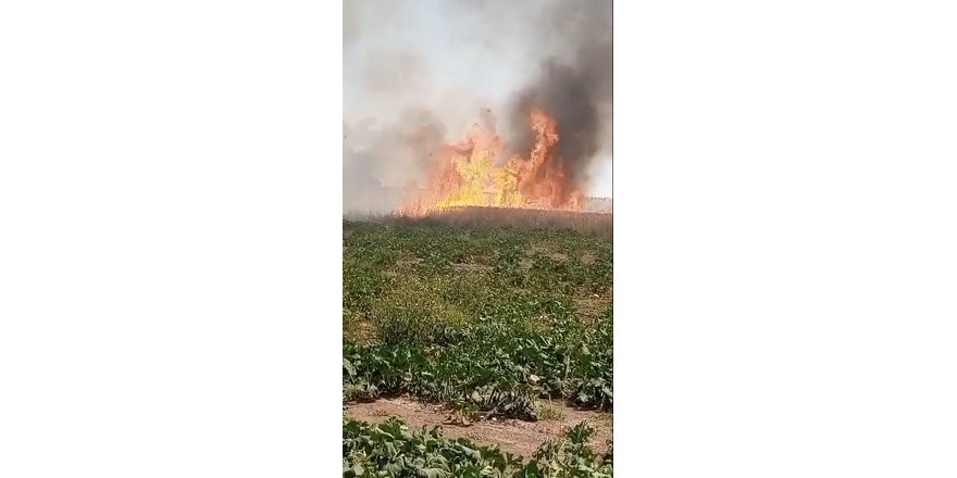 Afyonkarahisar'da tarım arazilerinde yangın