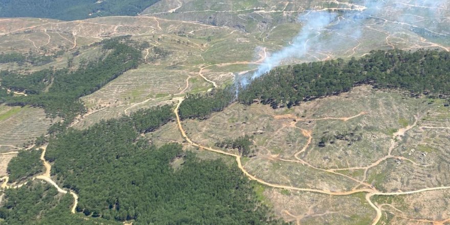 Muğla’da orman yangını