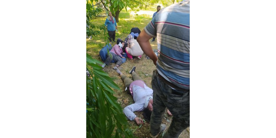 Afyonkarahisar'da tarım işçilerinin taşındığı minibüs devrildi: 6 ölü, 8 yaralı