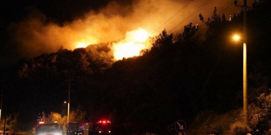 Muğla'da makilikte başlayan yangın ormana sıçradı