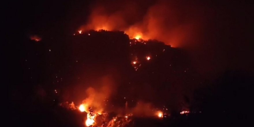 Muğla'da ormana sıçrayan yangın 12 saatte kontrol altına alındı; 1 gözaltı