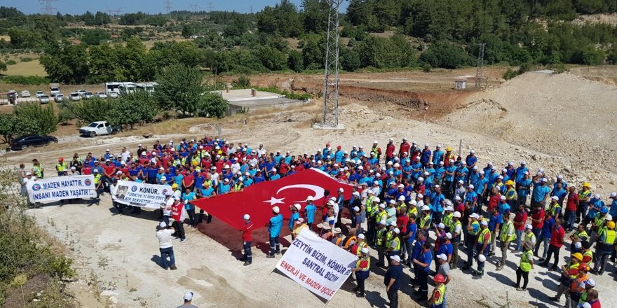 'Oyuna gelmeyin, bindiğiniz dalı kesmeyin, enerji hayattır'