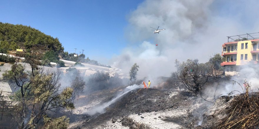 Alanya'da çalılık yangını