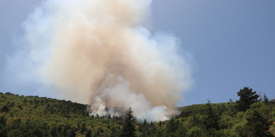 Afyonkarahisar'da orman yangını (2)