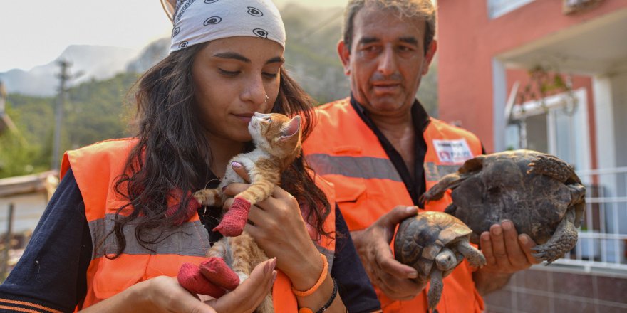 Orman yangınlarında hayvanların 'koruyucu melekleri'