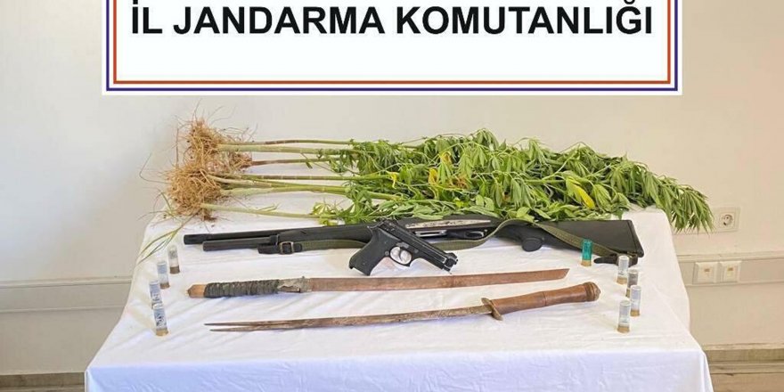 Uyuşturucu operasyonunda samuray kılıçları ele geçirildi