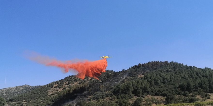 Burdur'da orman yangını (2)