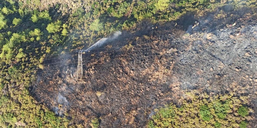 Muğla'da büyük yangınların yıl dönümünde orman yangını