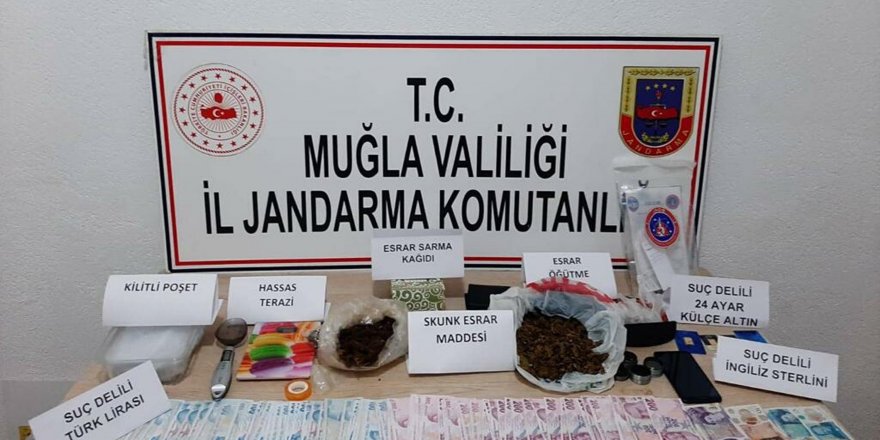 Muğla'nın 7 ilçesinde uyuşturucu operasyonu: 31 gözaltı