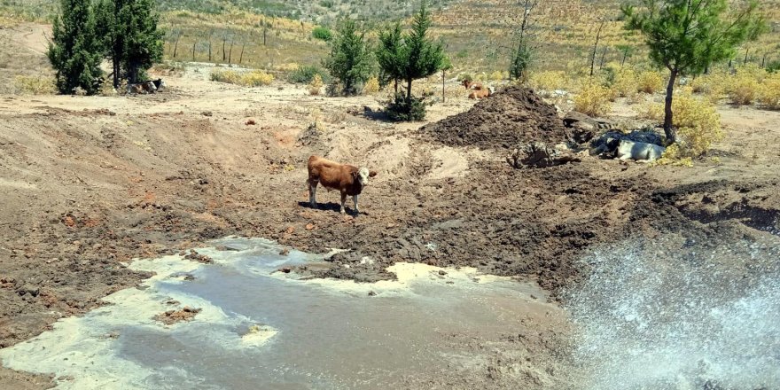 Bodrum'da göletlere su takviyesi