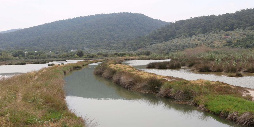 Bodrum'daki 'Gölköy Sulak Alanı tescil edildi