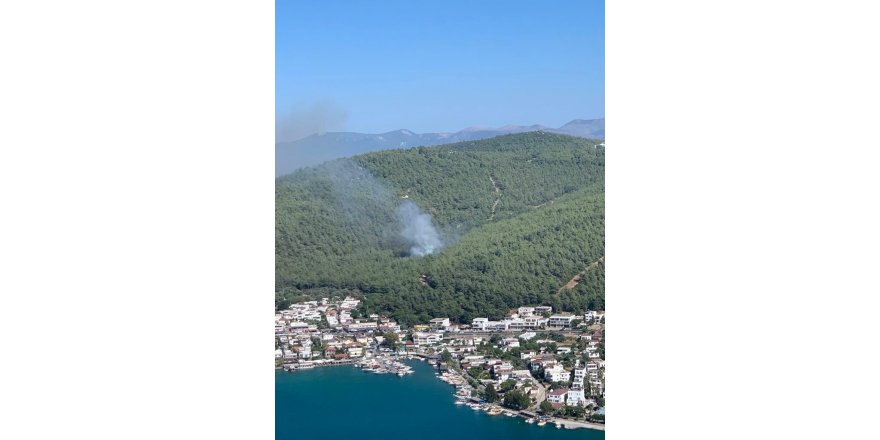 Bodrum'da orman yangını