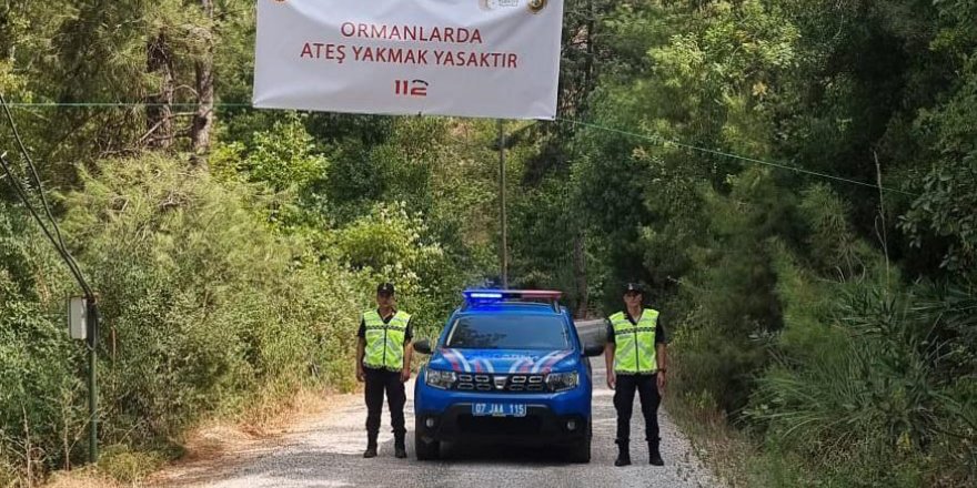 Alanya'da orman alanları denetlendi