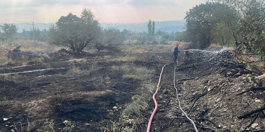 İtfaiyecinin, yanan yılan ve kaplumbağa üzüntüsü