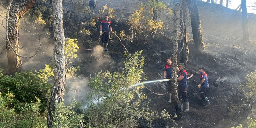 Dinar'da orman yangını büyümeden söndürüldü