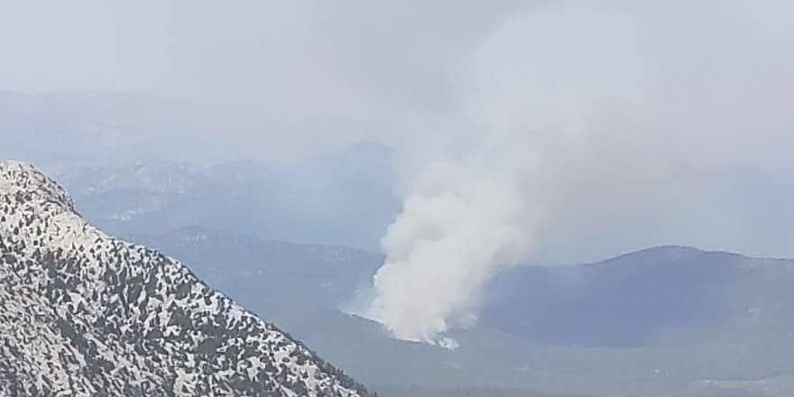 Antalya'da orman yangını 