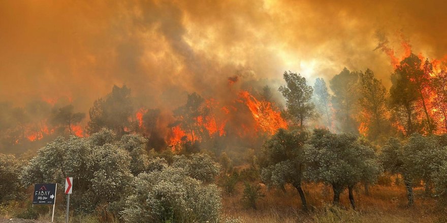 Muğla Valiliği'nden orman yangını uyarısı