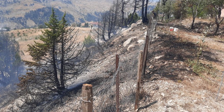 Alanya'da ormanlık alanda çıkan yangın söndürüldü