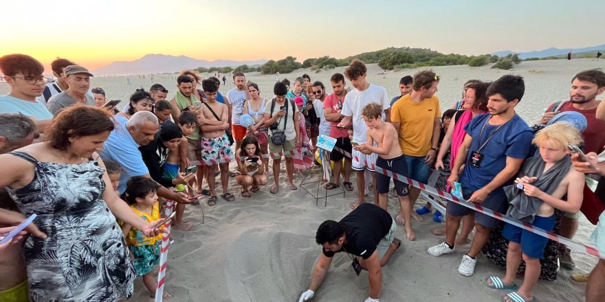 Patara'da deniz kaplumbağası yuva sayısında rekor