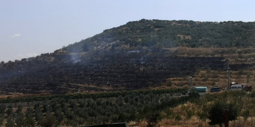 Bucak'ta özel ağaçlandırma sahasında çıkan yangın söndürüldü