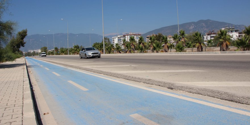 Yanlış ışığı takip edip, kara yoluna çıkan yavru deniz kaplumbağaları ezildi