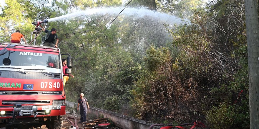 Kemer'de orman yangını büyümeden söndürüldü