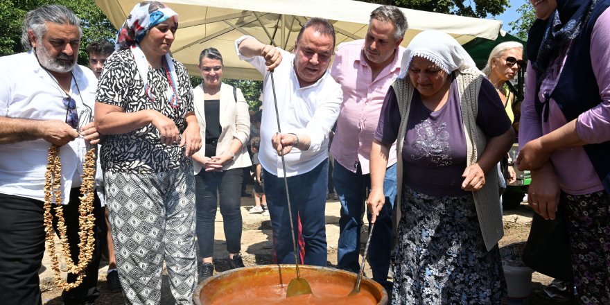 Antalya Gastronomi Festivali'nin ikinci gününde mor üzüm hasadı