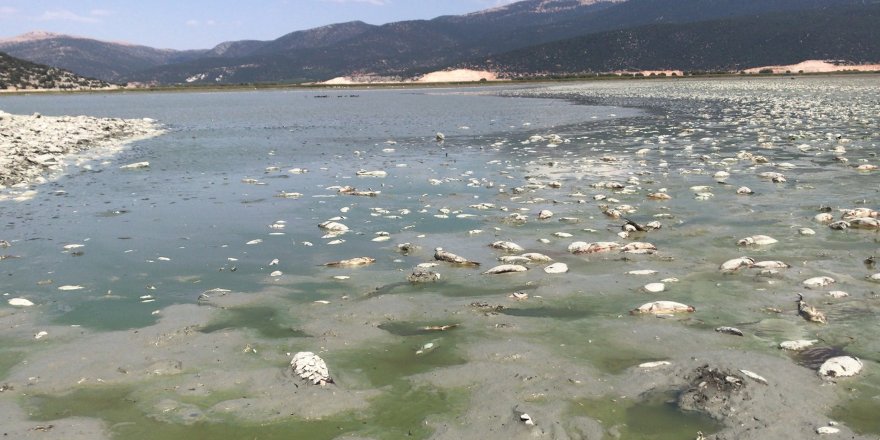 'Avlan Gölü'nden geriye, birkaç su öbeği kaldı'