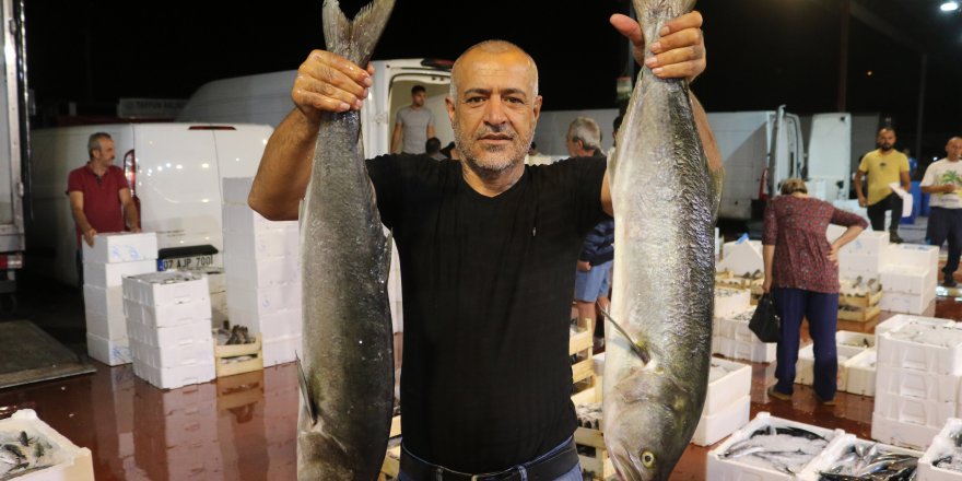 Antalya halinde balık, tavuk ve kırmızı etten ucuz