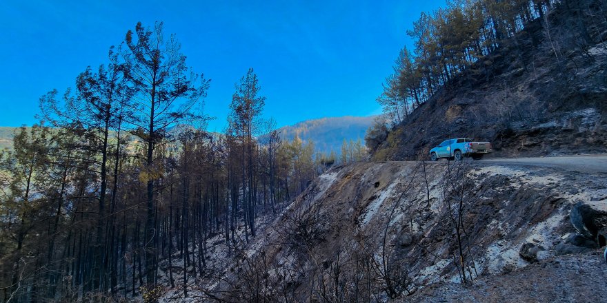 Alanya'daki orman yangınında 2'nci gün  