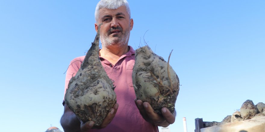 Burdur Şeker Fabrikası'nda kampanya dönemi başladı