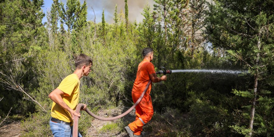 Antalya'da ot yangını, bakım yapılan teknelere ve ormana sıçradı (3)