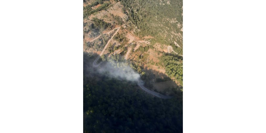 Muğla'da orman yangınında 1 hektar alan zarar gördü