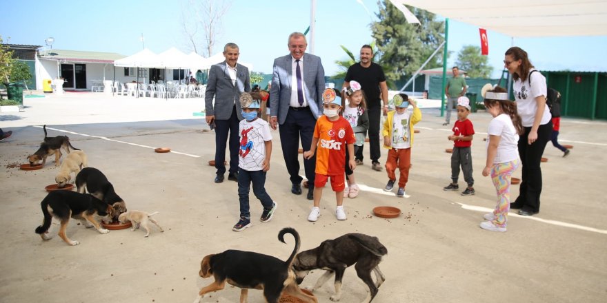 Başkan ve öğrenciler hayvanları besledi 