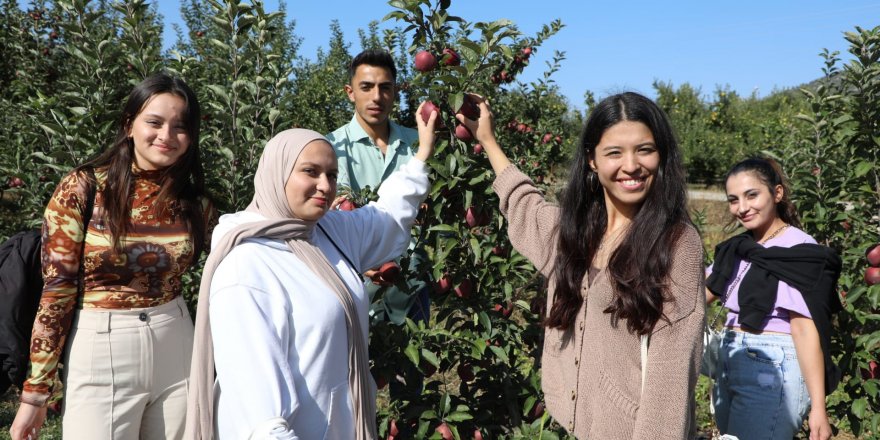Öğrenciler elma hasadı yaptı